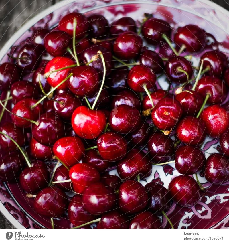 Kirschen Ernährung Essen Bioprodukte Lifestyle genießen ästhetisch frisch Gesundheit rot Inspiration lecker süß Lebensmittel Frühling Sommer Frucht Dessert