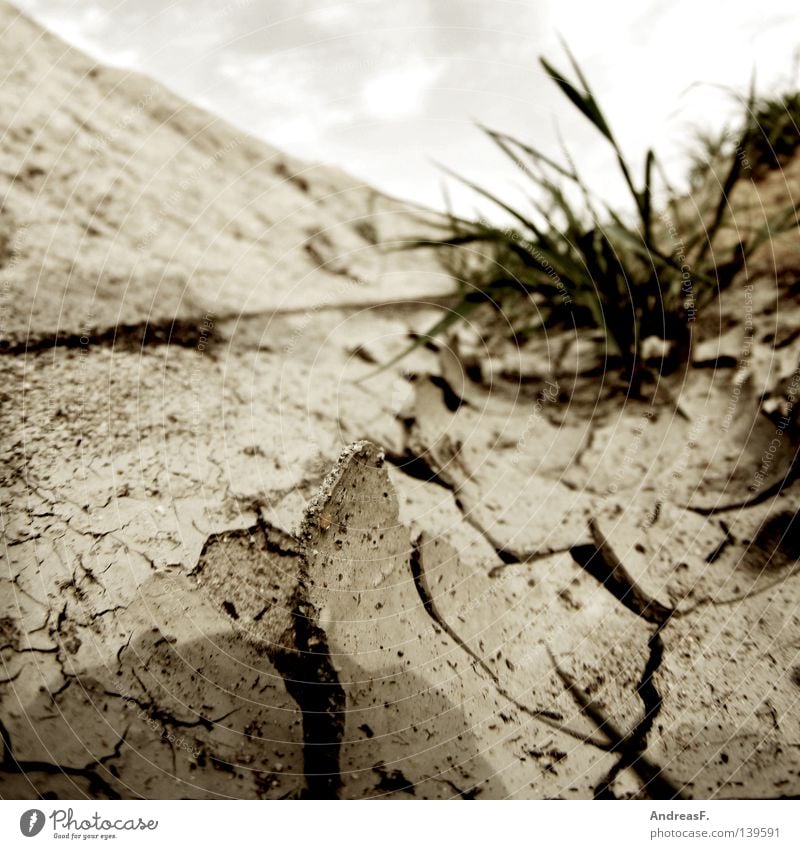 38° Sommer heiß trocken Physik Dürre Riss geplatzt Erdbeben Erosion Waldbrand gießen Bewässerung Erde Sand Wärme trockenperiode getrocknet dörr Bodenbelag