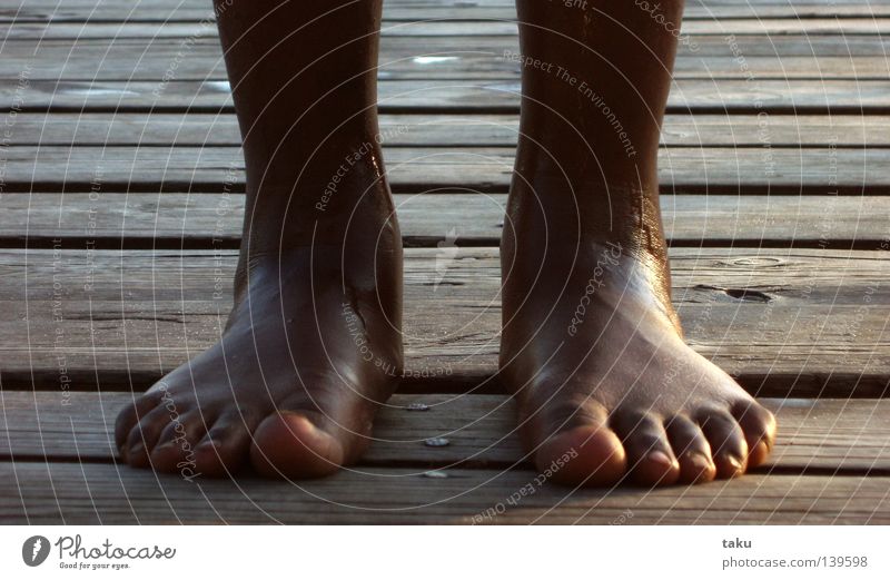 FEET Zehen nass Steg See Arbeit & Erwerbstätigkeit brian feet Fuß Wasser Schwimmen & Baden Holzbrett Wassertropfen Mecklenburg-Vorpommern kanu fahren Freude ...