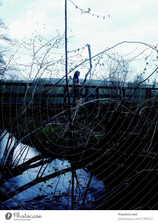 Todesbrückle dunkel Bach Frau Angst Vorsicht lügen gefährlich Trauer Verzweiflung Brücke dark Ast Wasser Fluss Himmel gehen laufen warten Blick nichts ahnend