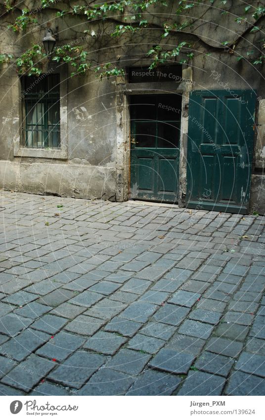 Teure Heimat Wien Europa Österreich Verfall Hinterhof Haus Holztür Baum verfallen Idylle Außenaufnahme Verkehrswege 1. Bezirk Altstadt Innere Stadt Innenhof