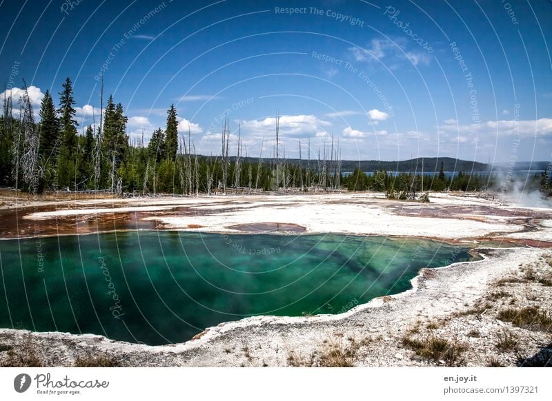 aufgeheizt Ferien & Urlaub & Reisen Tourismus Ausflug Abenteuer Ferne Sommer Sommerurlaub Umwelt Natur Landschaft Himmel Wald Vulkan Heisse Quellen Geysir heiß