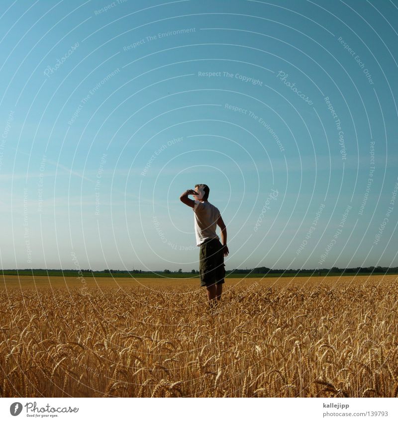 wir ernten was wir sehen Mann Landwirt Lebensmittel Weizen Gerste Hopfen Gras trocken Mehl Halm Landwirtschaft Aussaat Saatgut Feld bebauen Ackerboden