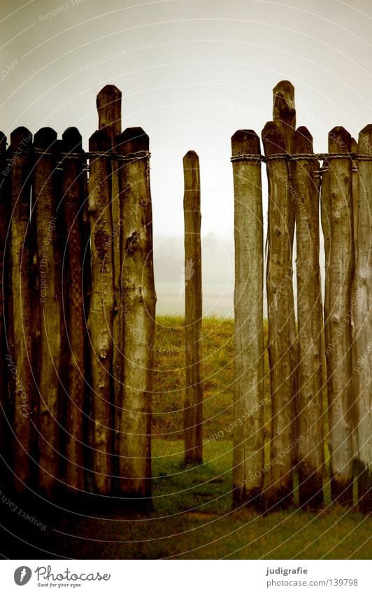 Sonnenwende Holz Mauer Zaun Pause Nebel Bauwerk Observatorium Wintersonnenwende Jahreszeiten Wiese Wahrzeichen Denkmal Farbe Baumstamm Pfosten Natur goseck