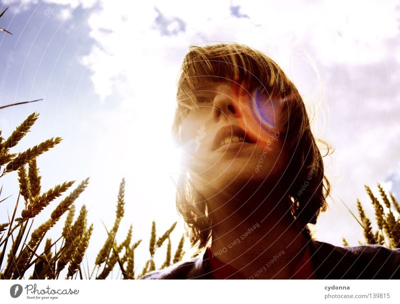 Im Gegenlicht sitzend ländlich Landwirtschaft Landleben Wiese Feld grün Luft Licht Schwung Sommer Brise Gras Ähren atmen Gedanke schön Wolken schwingen Halm