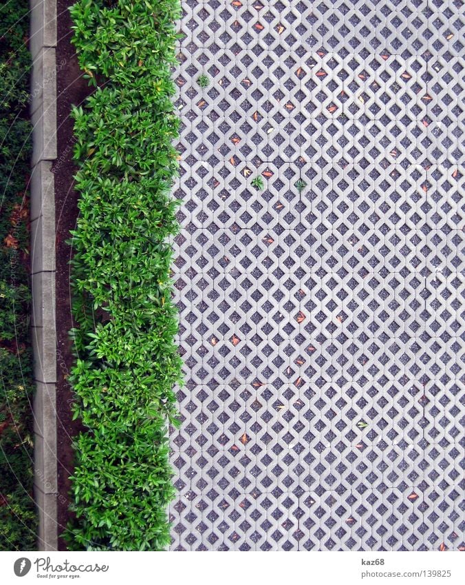 Ab durch die Hecke Sommer Frühling Licht Physik Winter Stoff Streifen Parkplatz Gras grün Ferien & Urlaub & Reisen Balkon Wohnung Haus weiß Mauer Asphalt