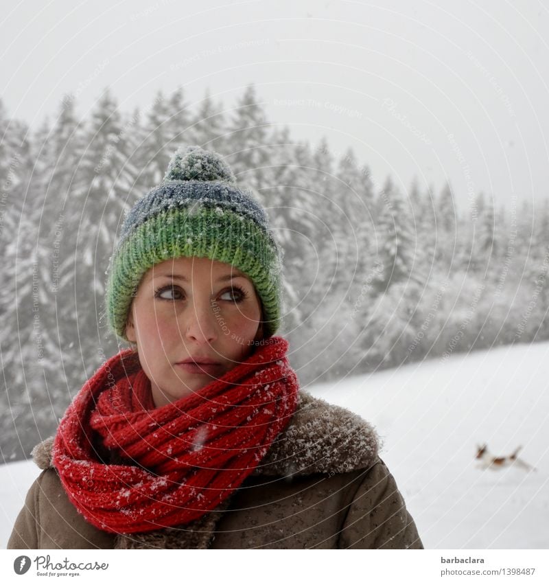 mit Mütze, Schal und Hund Frau Erwachsene 1 Mensch Winter Schnee Schneefall Baum Wald Schwarzwald Mantel Freude Bewegung Farbe Freizeit & Hobby Gesundheit Klima