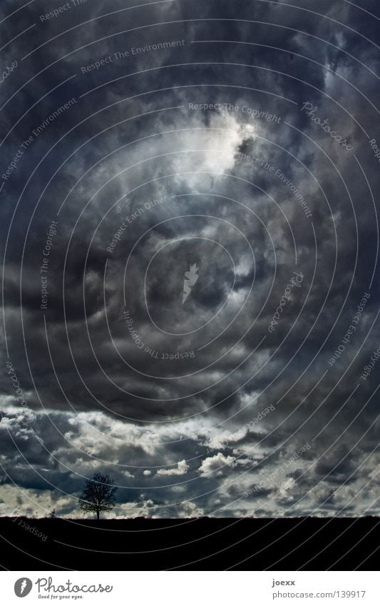 Es werde … Natur Landschaft Himmel Wolken schlechtes Wetter Unwetter Sturm Gewitter Baum dunkel blau schwarz weiß Hoffnung träumen Endzeitstimmung Glaube