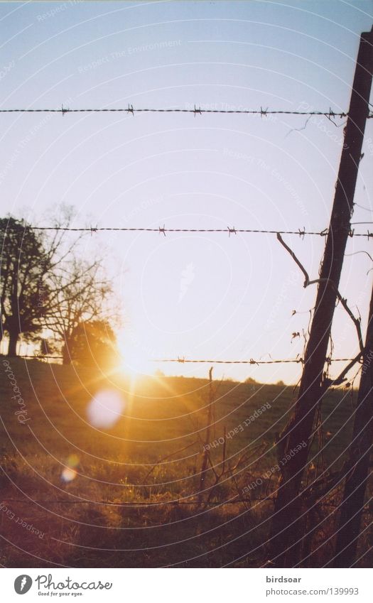 ............. Tennessee Morgen Sonne Sonnenaufgang Feld Bauernhof Stacheldraht Himmelskörper & Weltall Wärme Filmindustrie