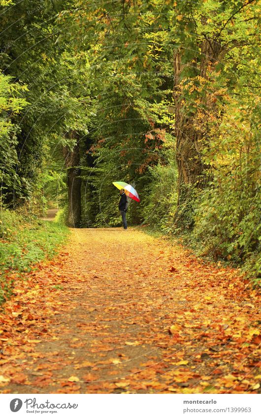 ...ich warte Mensch feminin Frau Erwachsene 1 30-45 Jahre Umwelt Natur Pflanze Urelemente Erde Herbst Klima Wetter schlechtes Wetter Sträucher Grünpflanze