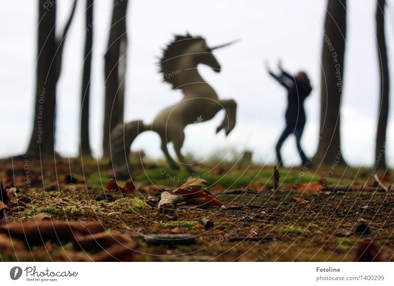 Halt! Bleib stehen! Mensch Kind 1 Umwelt Natur Pflanze Urelemente Erde Herbst Baum Wald frei hell wild Einhorn Pferd Fabelwesen Märchen Märchenwald Farbfoto