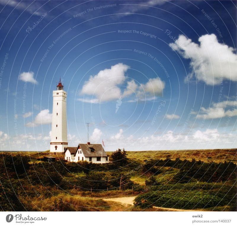 Blåvands Fyr schön Erholung Freizeit & Hobby Sommer Strand Meer Güterverkehr & Logistik Landschaft Sand Luft Himmel Wolken Horizont Wetter Küste Nordsee