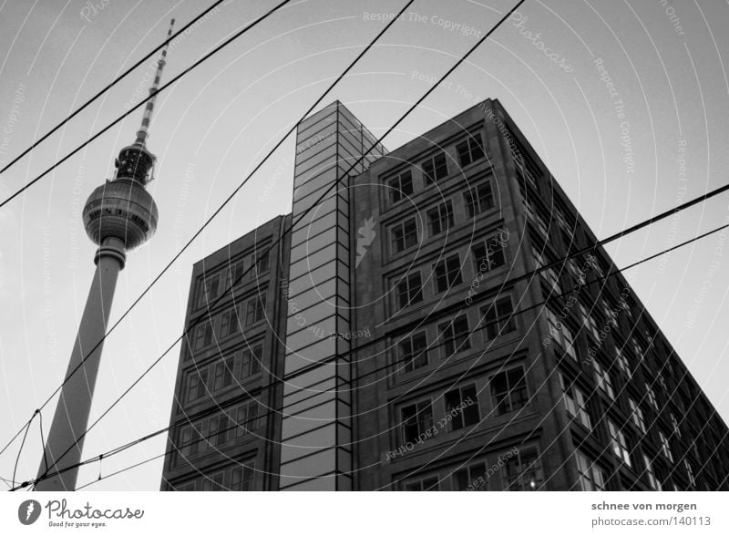 saison Haus Alexanderplatz Fenster Stadt Wahrzeichen Denkmal Berlin Berliner Fernsehturm alex