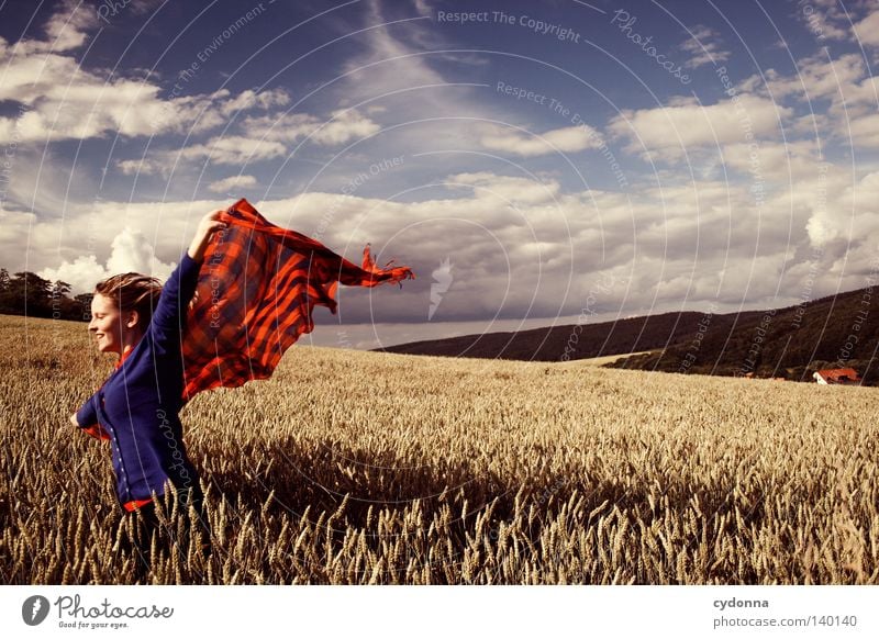 Ausgeflogen ländlich Landwirtschaft Landleben Leben Wiese Feld Landschaft Landschaftsformen grün Natur Luft Wärme Physik Idylle Schwung Sturm Sommer Brise Gras