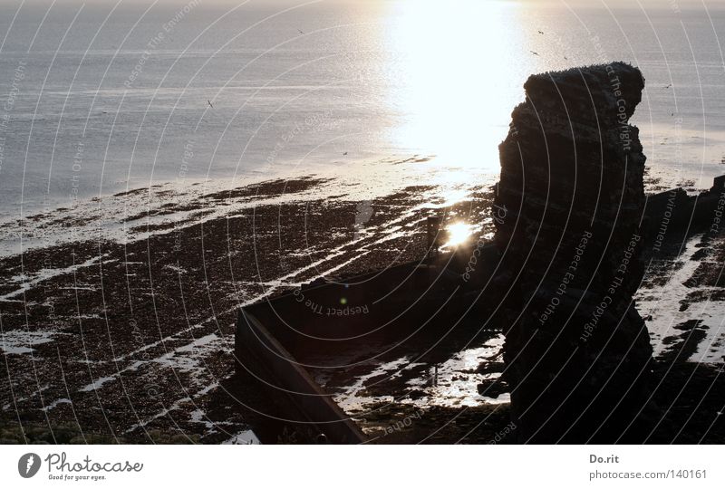 Die "Lange Anna" Sonne Sonnenuntergang Reflexion & Spiegelung Helgoland Hochsee Wasser blau rosa violett Wattenmeer Vogel Felsen Lichterscheinung See Frieden