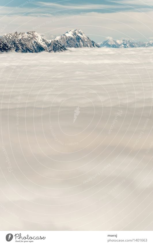 Federleichte Decke Natur Herbst Schönes Wetter Nebel Felsen Alpen Berge u. Gebirge Gipfel Schneebedeckte Gipfel Erholung Unendlichkeit sanft Nebelmeer Farbfoto