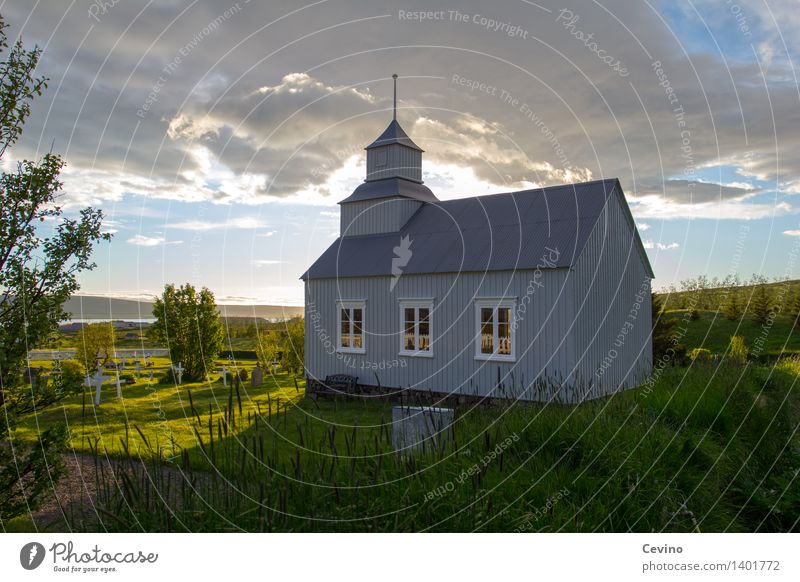 Der Ort der letzten Ruhe Natur Landschaft Park Kirche Kapelle schlafen kalt Trauer Tod Einsamkeit schuldig Wut Ärger Frustration Verbitterung trotzig Rache Hass