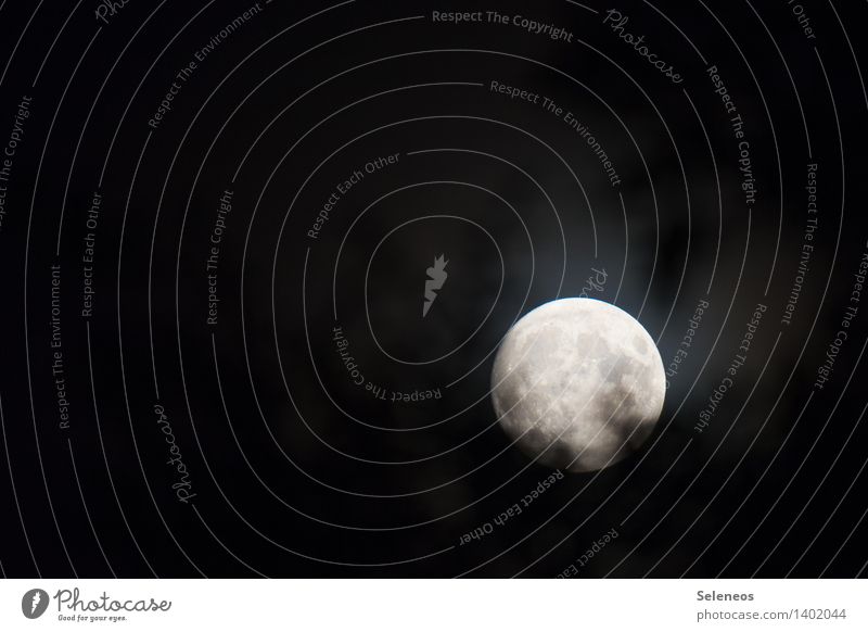 voll Umwelt Natur Nachthimmel dunkel Mond Mondschein Mondlandschaft Mondaufgang Vollmond Farbfoto Außenaufnahme Textfreiraum links Licht Schatten