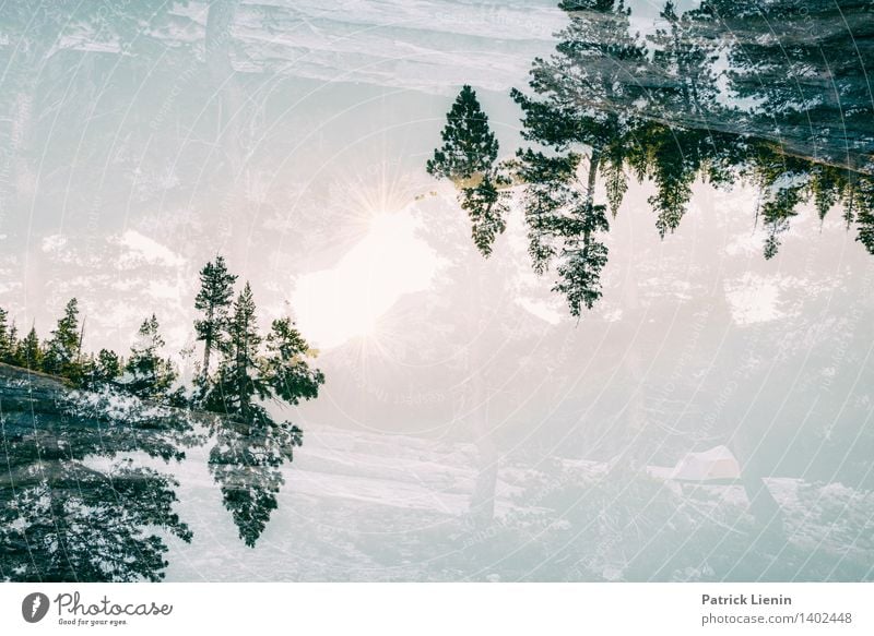 verdreht Leben harmonisch Wohlgefühl Zufriedenheit Erholung ruhig Meditation Umwelt Natur Landschaft Urelemente Wolken Sommer Klima Wetter Schönes Wetter