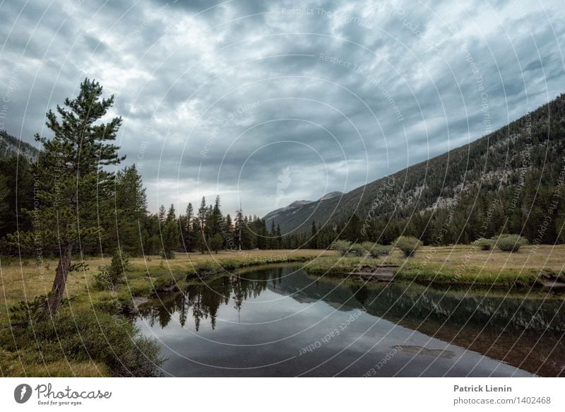 Tuolumne Meadows Tourismus Ausflug Abenteuer Ferne Freiheit Umwelt Natur Landschaft Himmel Wolken Sommer Klima Wetter Pflanze Baum Wald Urwald Hügel Felsen