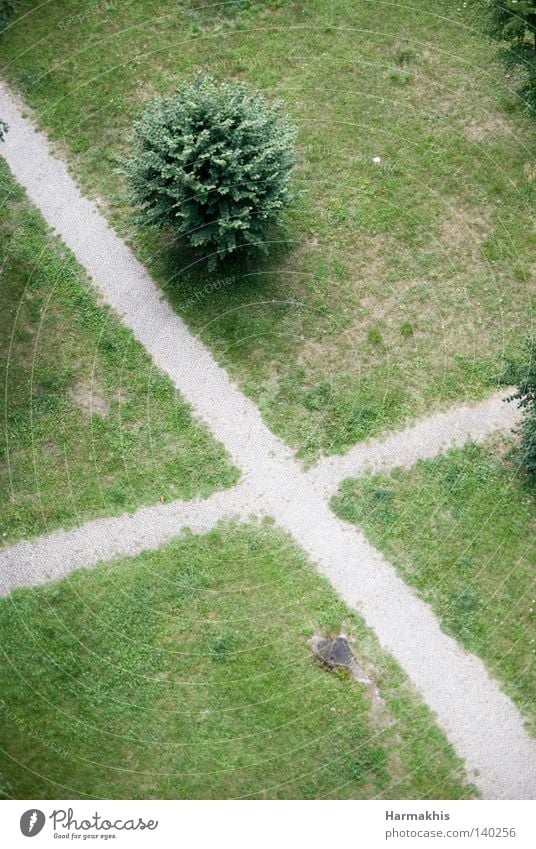 Mach's Kreuzchen Gras Wiese grün trocken Wege & Pfade steinig gekreuzt Wegkreuzung Baum Blatt Waldlichtung Sträucher Baumstumpf Fragen Bedeutung