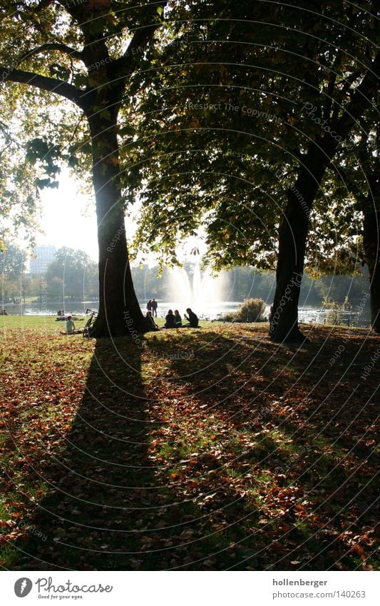 Schattenseite Freundlichkeit dunkel Herbst kalt Baum Park Springbrunnen Wasserfontäne Wiese Herbstlaub grün orange ruhig Gegenlicht entgegenkommen Victoriapark