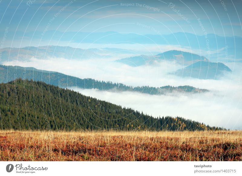 nebeliger Morgen in Giumalau-Bergen schön Ferien & Urlaub & Reisen Tourismus Berge u. Gebirge Umwelt Natur Landschaft Himmel Wolken Horizont Herbst Wetter Nebel