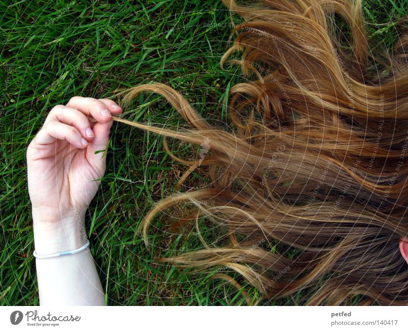 Das Parfüm Mensch Arme Geschichtsbuch Tod Gras Haare & Frisuren Duft liegen schlafen hell früher Leben Frieden blond grün flach Frau Haut Mord Schönheit. schön