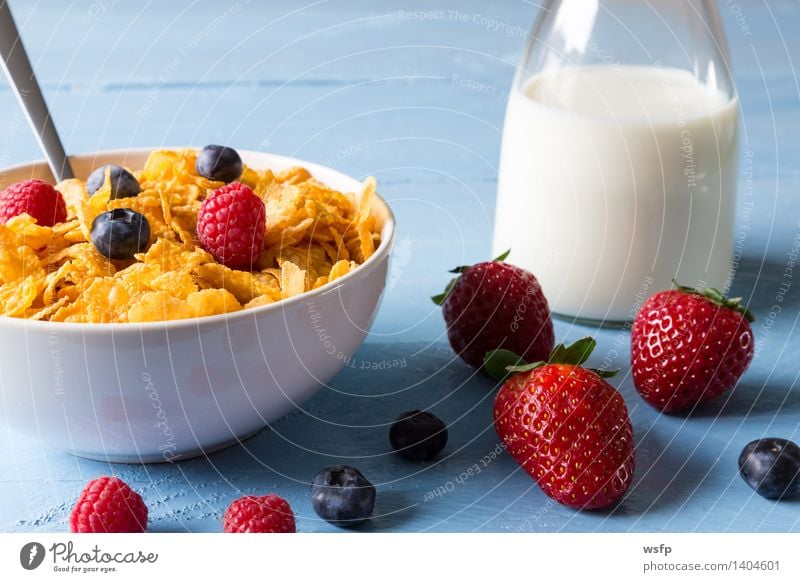 Cornflakes in einer Schale Frucht Apfel Frühstück Milch Schalen & Schüsseln Holz blau Frühstücksflocken Flocke Blaubeeren Zerealien Himbeer Müsli Erdbeeren Korn