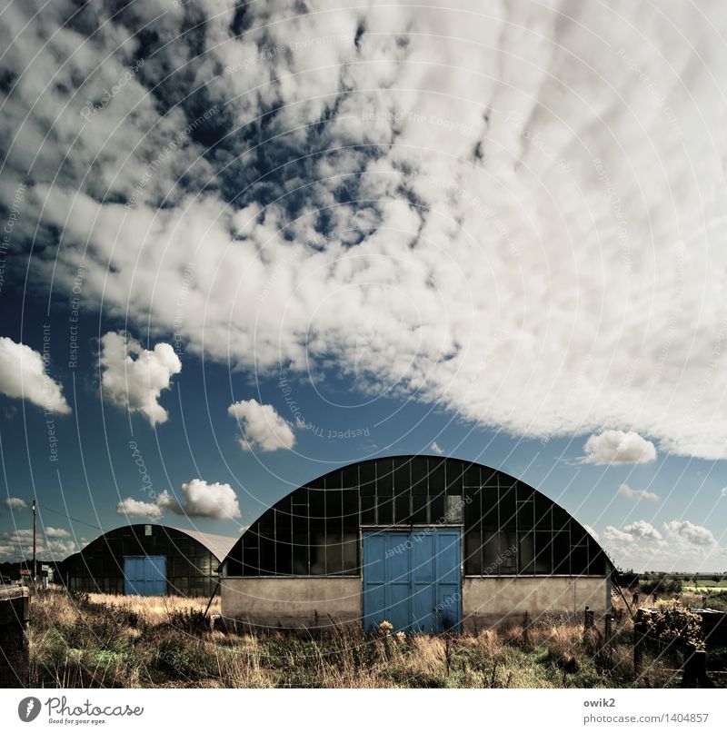 Hangars Umwelt Natur Landschaft Himmel Wolken Horizont Klima Wetter Schönes Wetter Sträucher Bauwerk Gebäude Architektur Halle Tür rund ducken Beton Glas Metall