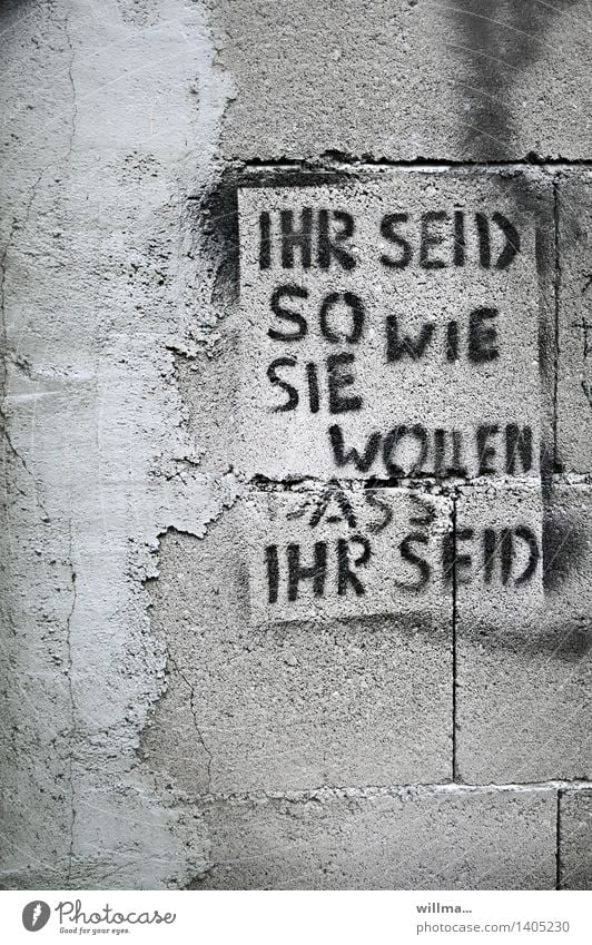 Ihr seid so, wie sie wollen, dass ihr seid. Anpassung und Manipulation, Graffiti auf Hauswand Subkultur Mauer Wand Beton Schriftzeichen Politik & Staat