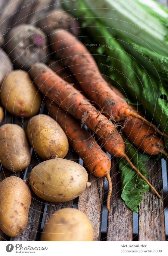 gesundes Gemüse Lebensmittel Ernährung Gesundheit Gartenarbeit Landwirtschaft Forstwirtschaft Natur Herbst Möhre Kartoffeln Rote Beete Chinakohl Holz