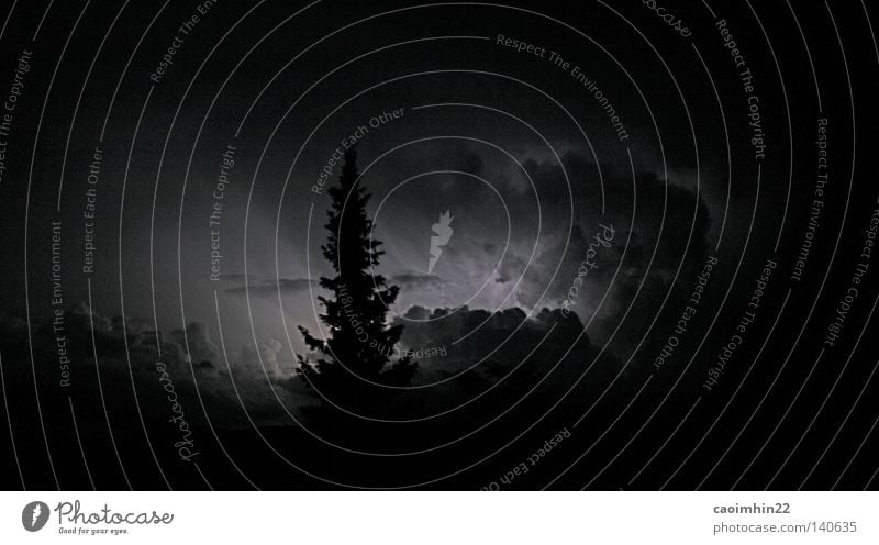 the awakening Baum Tanne Wolken Nacht dunkel Licht Schwarzweißfoto schimmern Beleuchtung Abend Kumulus Wald Himmel Abenddämmerung Lichtstrahl Wolkengruppe