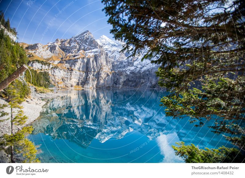 Oeschinesee Natur Landschaft blau grau grün schwarz türkis weiß See Gebirgssee Spiegelbild Wald Baum Schnee deutlich Sauberkeit Oeschinensee Schweiz Farbfoto