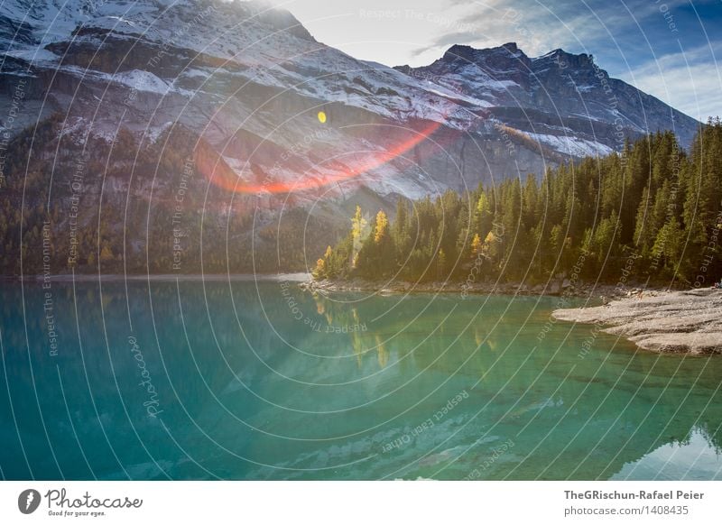 Bergsee Umwelt Natur Landschaft Wasser blau grau grün schwarz türkis weiß bergsee See Reflexion & Spiegelung Oeschinensee Berge u. Gebirge kalt Schnee Schweiz