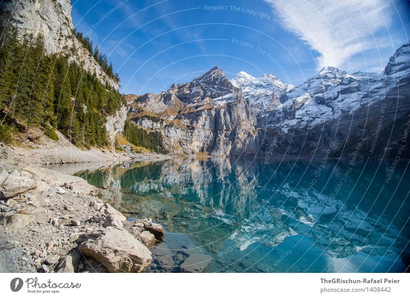 Oeschinesee Umwelt Natur Landschaft Wasser blau grau grün schwarz silber türkis weiß Berge u. Gebirge Seeufer Schnee Wolken Himmel Nadelwald Nadelbaum Stein