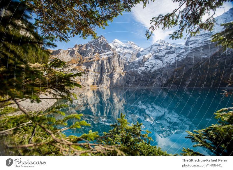 Oeschinesee Umwelt Natur Landschaft Wasser braun grau grün schwarz türkis weiß See Gebirgssee Berge u. Gebirge Alpen Schweiz Oeschinensee Reflexion & Spiegelung