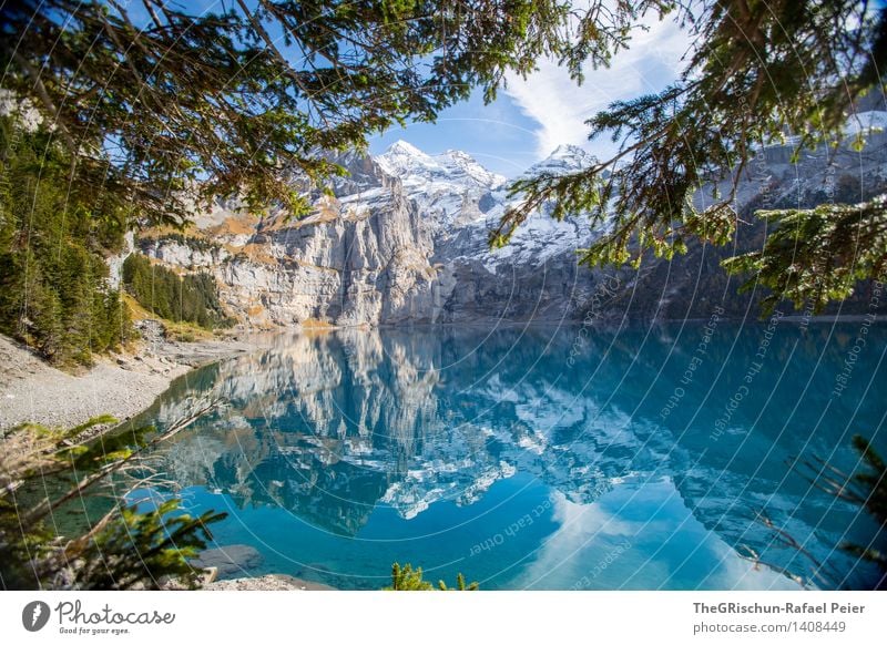 Oeschinesee Umwelt Natur Landschaft blau braun gelb grün schwarz silber türkis weiß Oeschinensee Schweiz ästhetisch Reflexion & Spiegelung Wasser