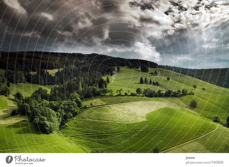 Grün-Donnerstag Sommer Berge u. Gebirge Natur Landschaft Himmel Wolken Wetter Schönes Wetter Baum Wiese Feld Wege & Pfade blau grün schwarz weiß Stimmung Idylle