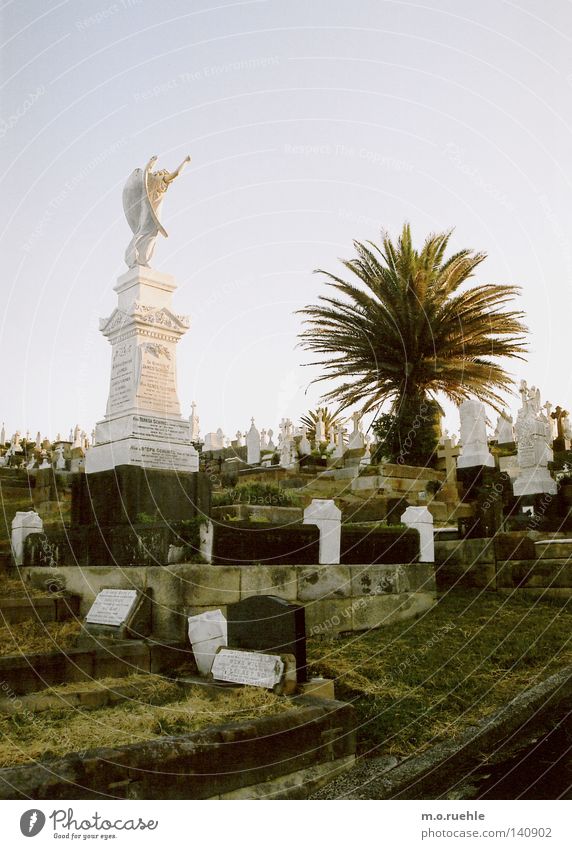 das paradies und der tod Friedhof Gruft Tod Sensenmann verlieren Beerdigung Trauer Angst Ewigkeit Grabstein Engel Vergänglichkeit ästhetisch ruhig Verzweiflung