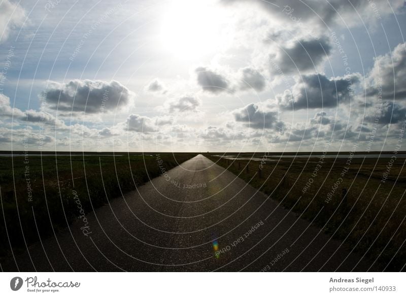 Into the Light Wolken Sonne Wege & Pfade Straße Symmetrie Horizont Unendlichkeit Licht Gegenlicht Norddeich Küste Grenzgebiet Hoffnung Zufriedenheit Bewältigung