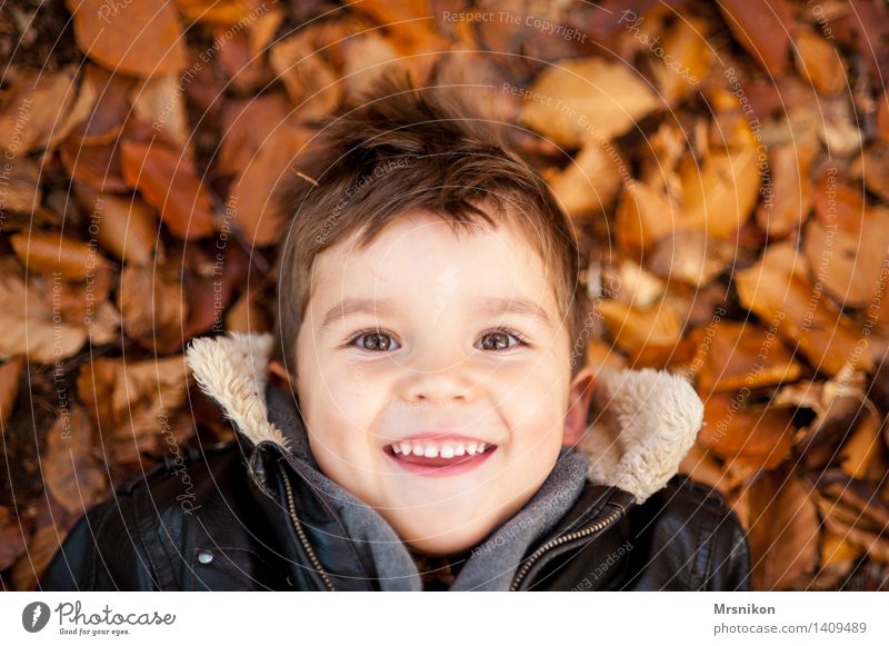 fröhlich Kind Junge Kindheit 1 Mensch 3-8 Jahre leuchten Herbst herbstlich Herbstlaub liegen lachen Fröhlichkeit Blick spaßig Spaßvogel Farbfoto Gedeckte Farben