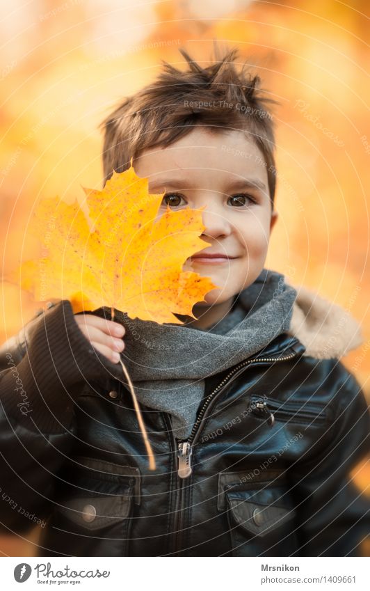 happy day Mensch Kind Kleinkind Junge Kindheit 1 3-8 Jahre Natur Herbst Wetter Schönes Wetter Blatt Garten Park Wald Lächeln Herbstlaub Kastanienblatt