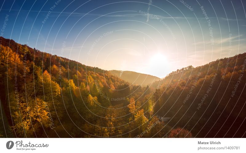 Herbstlandschaft Umwelt Natur Landschaft Himmel Sonne Sonnenaufgang Sonnenuntergang Sonnenlicht Wetter Schönes Wetter Baum landschaftsebenen Landschaftsformen