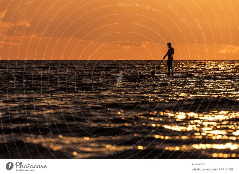 Surfpaddler auf der Ostsee Erholung Freizeit & Hobby Ferien & Urlaub & Reisen Meer Sport Wassersport Natur Wolken maritim Abenteuer Fitness Freude Surfpaddeln