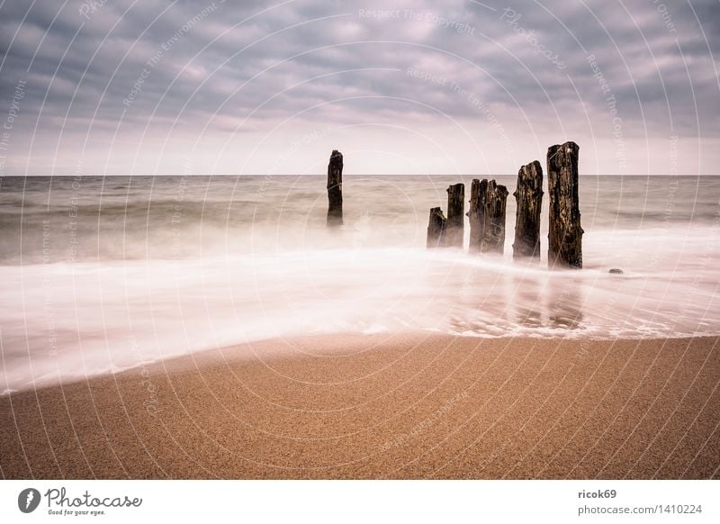 Abends an der Küste der Ostsee Erholung Ferien & Urlaub & Reisen Strand Meer Natur Landschaft Wasser Wolken Holz Romantik Idylle Tourismus Buhnen Kühlungsborn