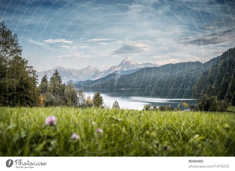 Autumn day in the Allgäu ruhig Ferien & Urlaub & Reisen Sonne Berge u. Gebirge wandern Umwelt Natur Landschaft Pflanze Wasser Herbst Feld Hügel Felsen Alpen