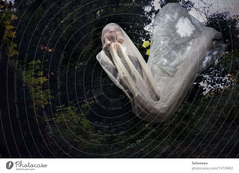 Hui Mensch maskulin Kopf Gesicht 1 Umwelt Natur Garten Park gruselig Geister u. Gespenster Stoff Halloween Farbfoto Außenaufnahme