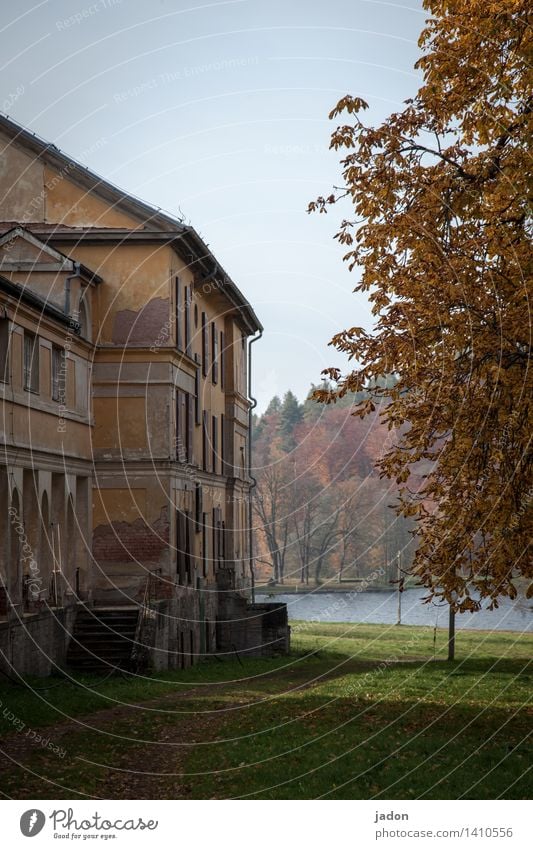 haus am see. harmonisch Häusliches Leben Wohnung Haus Traumhaus Garten Umwelt Natur Herbst Baum Park Teich See Burg oder Schloss Bauwerk Gebäude Architektur