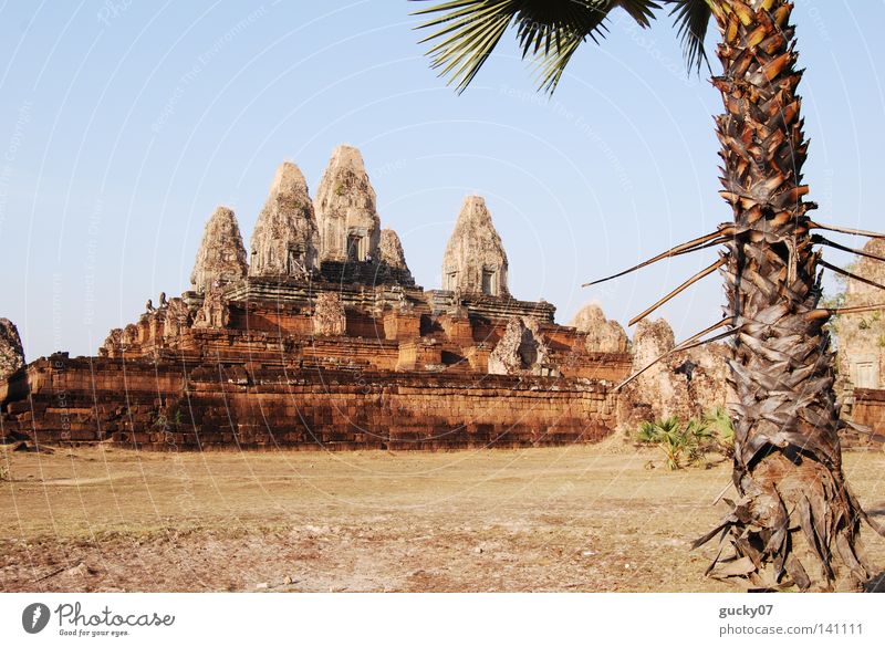 Tempel Pre Rup Angkor Wat Angkor Thom Kambodscha heilig Shiva Abenddämmerung Asien Palme Turm Khmer Buddha Buddhismus Hinduismus Urwald Abendsonne